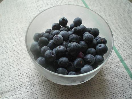 ブルーベリー