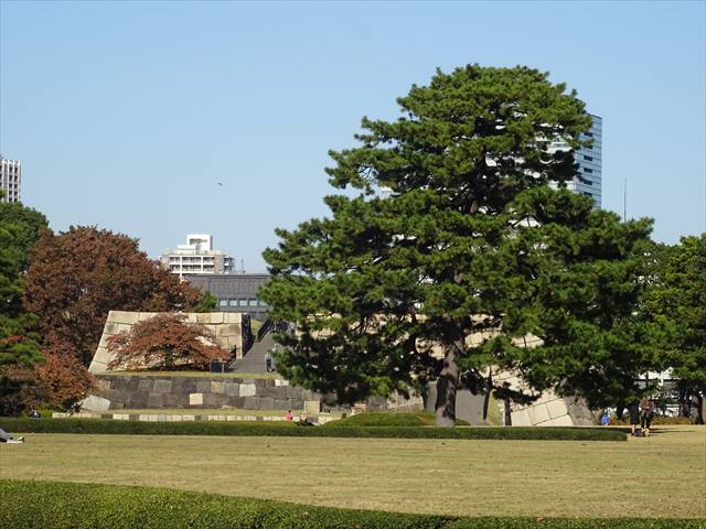 DSC07414_R.JPG