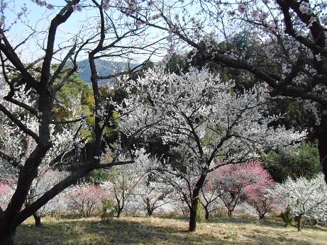 DSCN1950.jpg