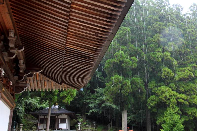 龍泉寺_007雨宿り.jpg