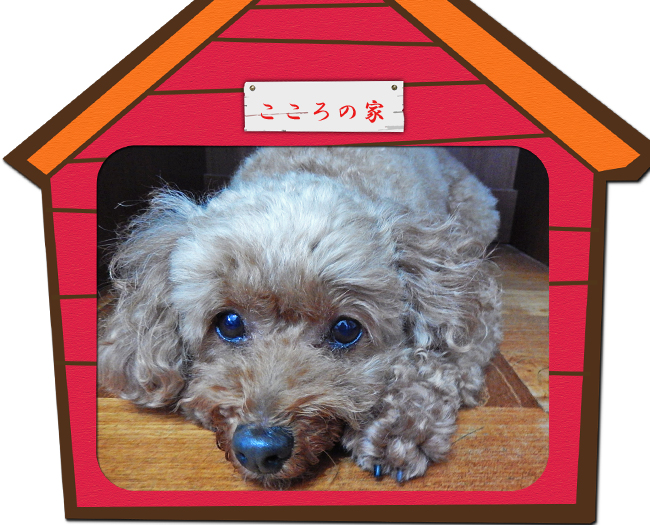 こころ７