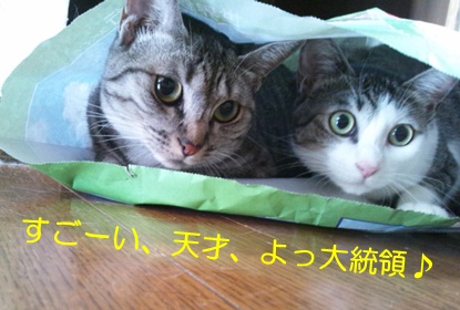 20120903_3.jpg