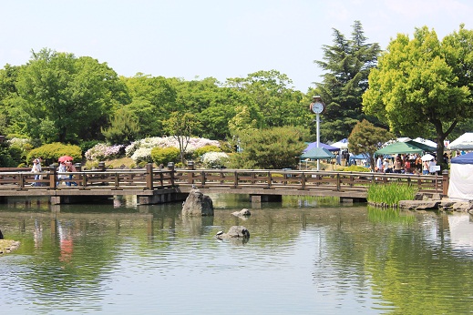 あがたの森公園２.jpg