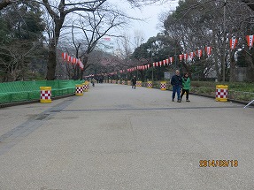 IMG_1889b.jpg