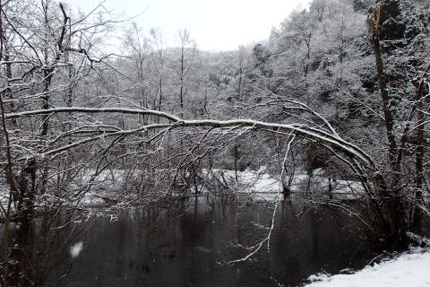 nitijou150110014