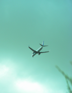 2017-09-26akibare (1).JPG