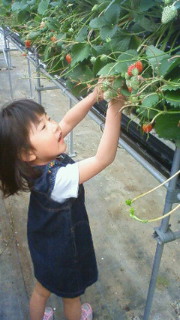 201204151003000.jpg
