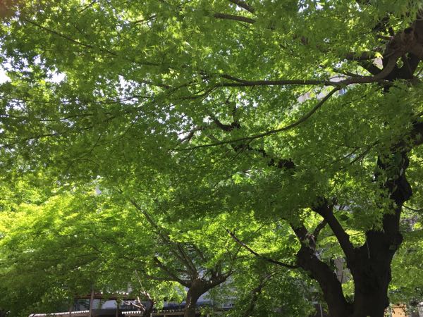 rblog-20170507190133-01.jpg