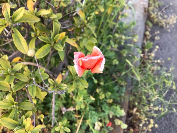 rblog-20180408182201-06.jpg