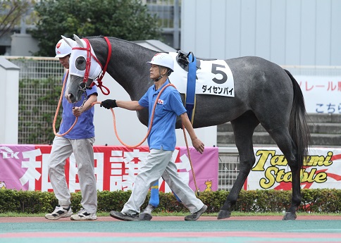 新馬６.jpg