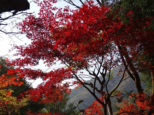 榛名神社1.JPG