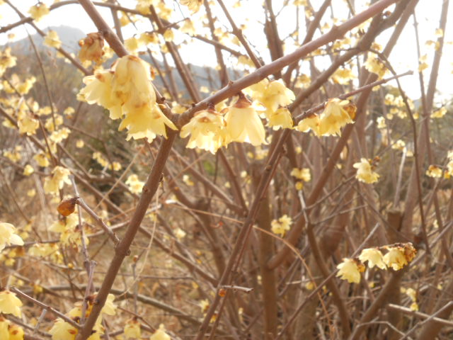 DSCN0938.JPG