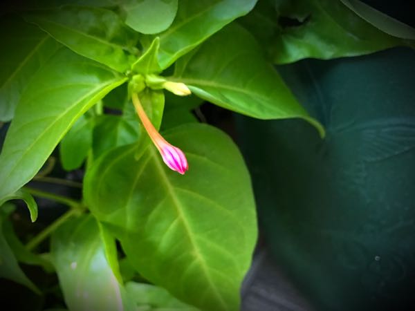 rblog-20161128165327-09.jpg