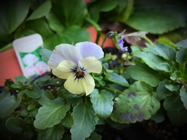 rblog-20161128164610-01.jpg