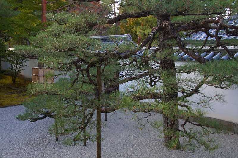 紅葉前の相国寺 | 今を大事に! - 楽天ブログ