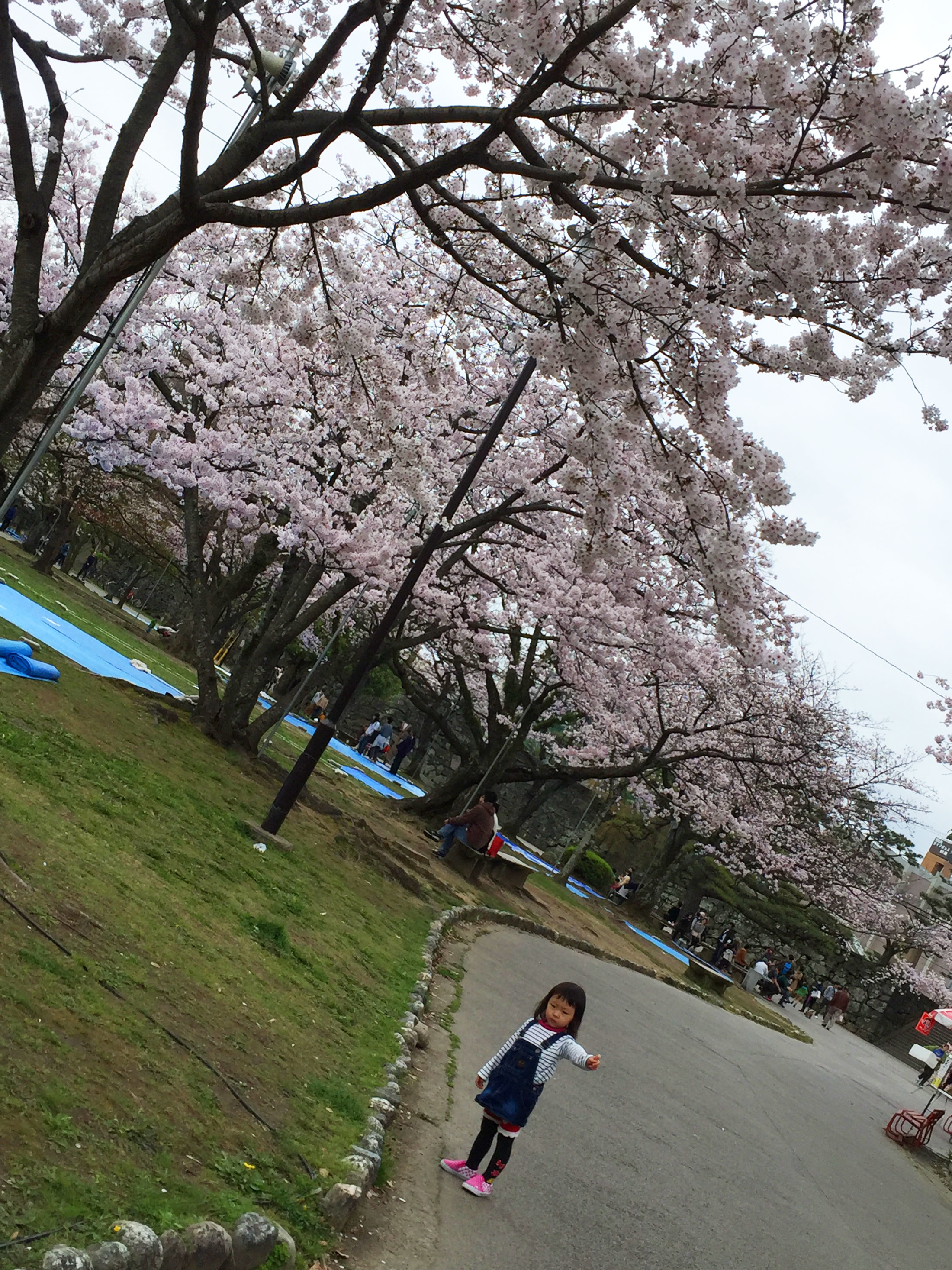 ４・０３　徳島中央公園5.jpg