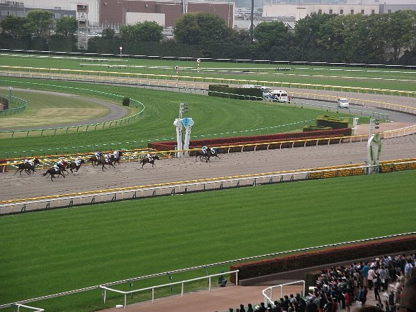 4-23 tokyo-keiba-105.JPG