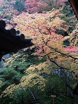 DSC_1938 - コピー.jpg
