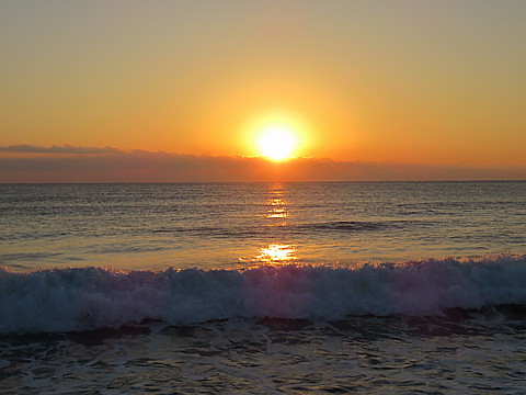 IMG_0873.jpg