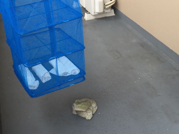 rblog-20160113112146-06.jpg