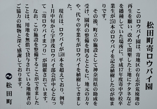 DSCF1930.jpg