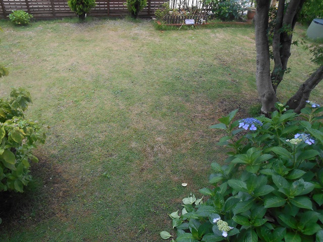 DSCN1891.JPG
