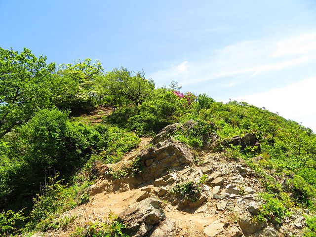 丹沢登山（3）丹沢山山頂→蛭ヶ岳山頂 | 星とカワセミ好きのブログ - 楽天ブログ