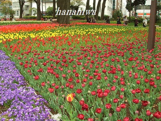 2012_0414トレッサ用寄せ植えとクレマチスの講座とカ0012.JPG