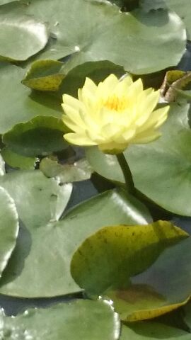 rblog-20140916013132-01.jpg