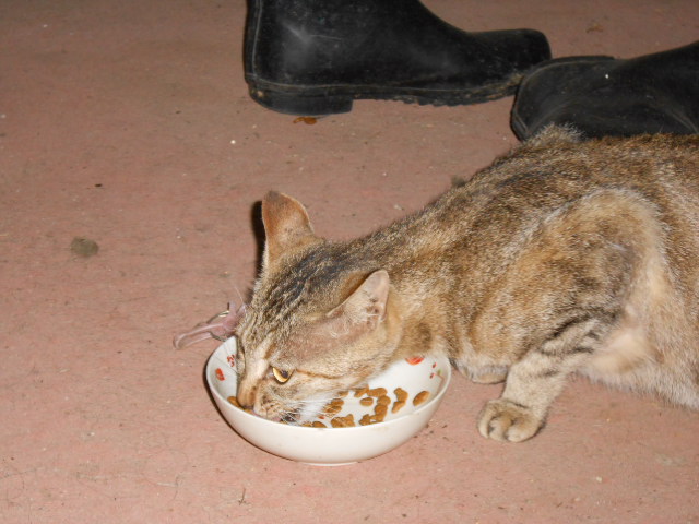 DSCN0388.JPG