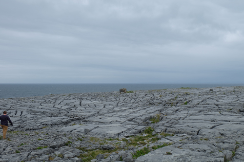 burren.jpg