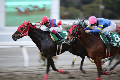 全日本新人王第２戦1.jpg