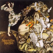 Kate Bush Never for Ever(魔物語）