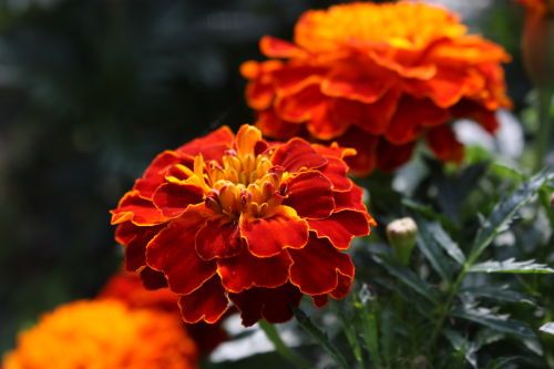 20151017007.JPG
