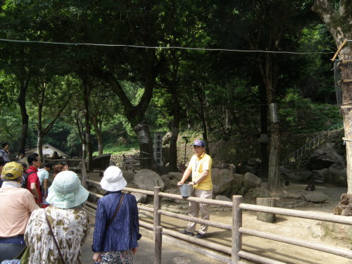 20140601_677.jpg