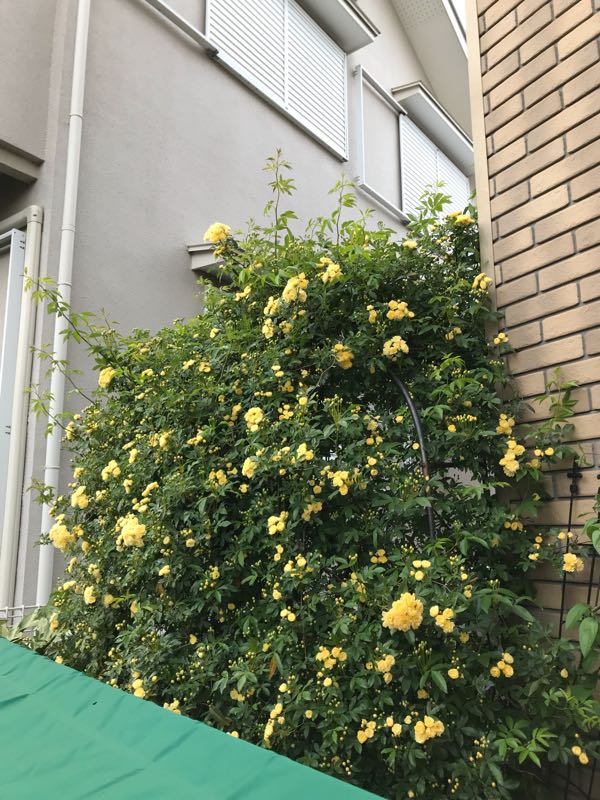 rblog-20190423182202-03.jpg