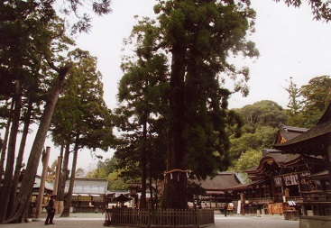 大神神社