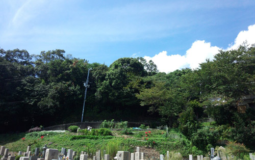 石井墓地3.jpg