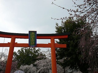 P1280078ss.jpg