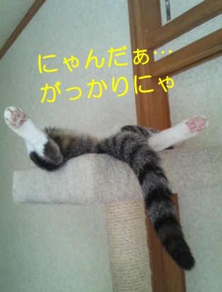 20120913_.jpg