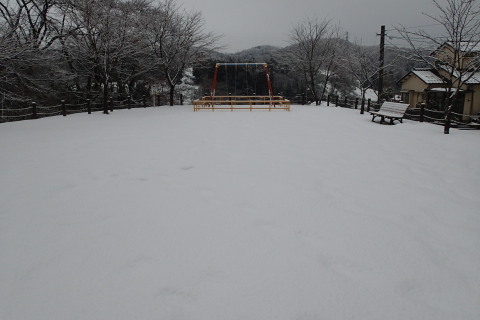 nitijou150110003