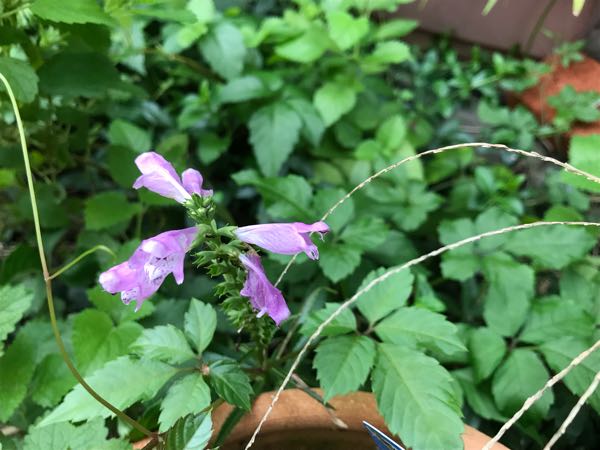 rblog-20180928162206-05.jpg