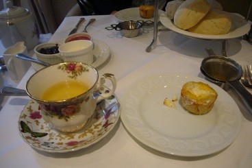 P1050335.JPG