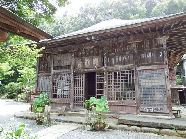 DSCF1809.JPG