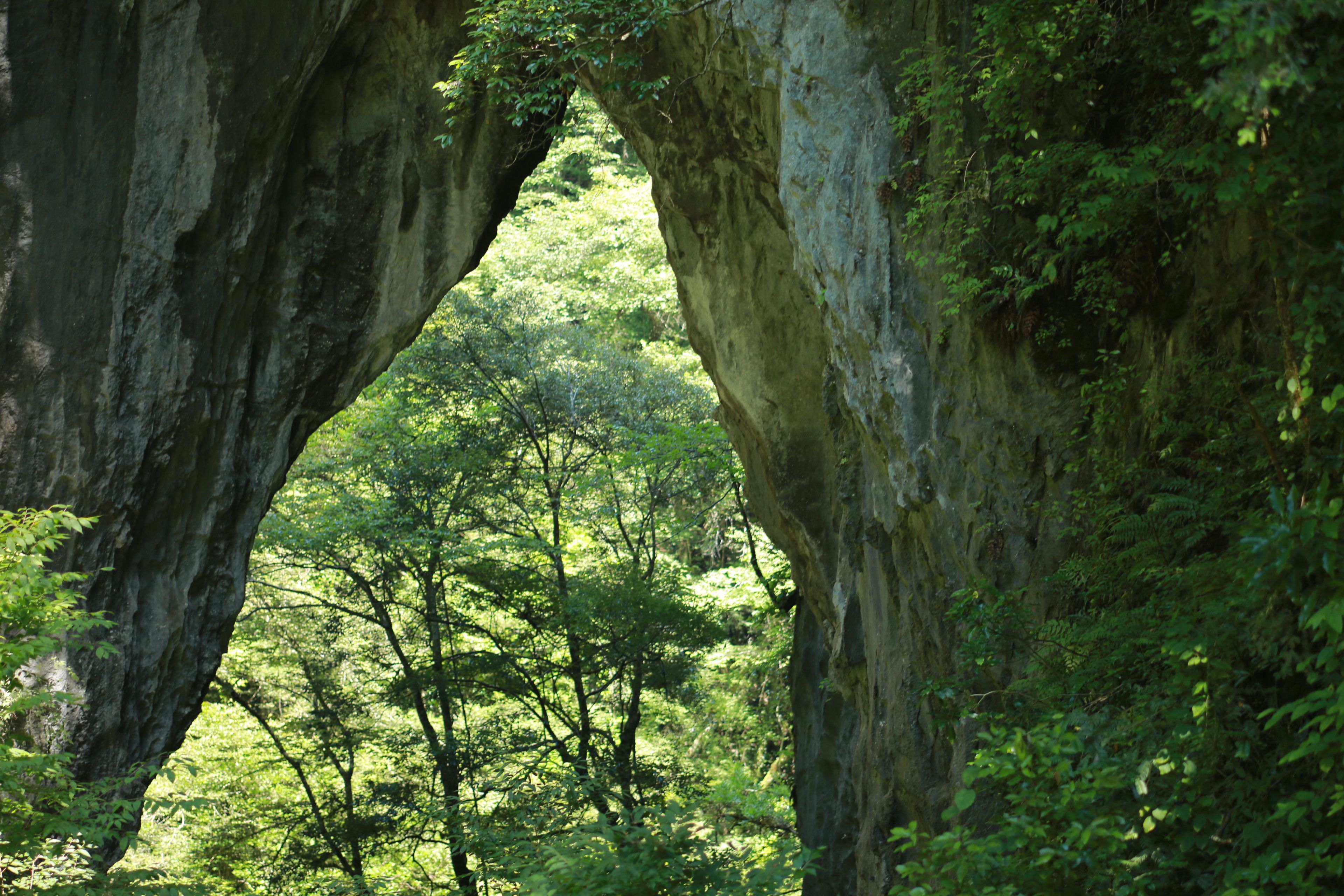 まるこうよっちゃん