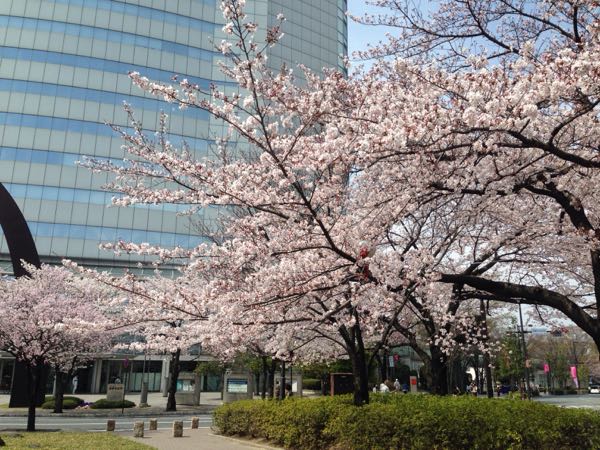 rblog-20160407002317-01.jpg