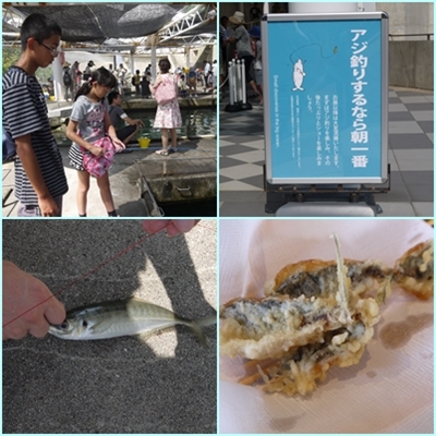 マリンワールド　アジ釣り