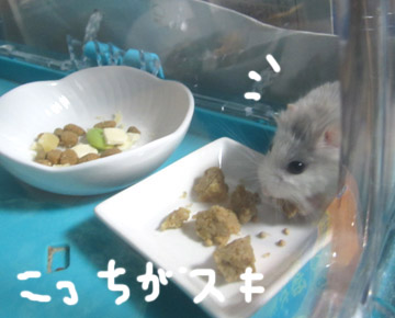 ふやかしペレット.jpg