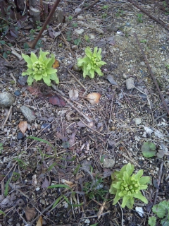 120319_151425.jpg