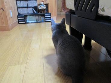 まってるんだけどな～.JPG